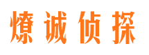 龙川市调查公司